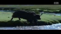 永遠的香格里拉-林美羨（演唱）