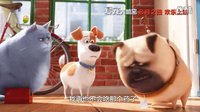 “短粗胖”患松鼠妄想癥《愛寵大機密》“呆萌大毛”特輯