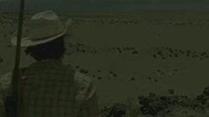 預(yù)告片2