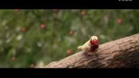 郭靜 - 別惹哭我