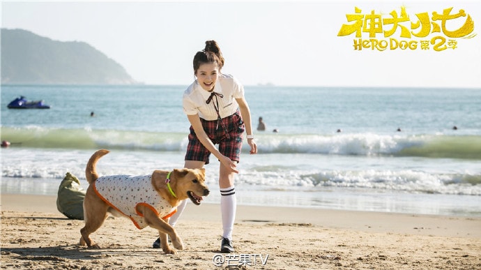 http://www.fjsenfa.cn/pics/default/download/871a510a568bf3486464562ac615752c.jpg