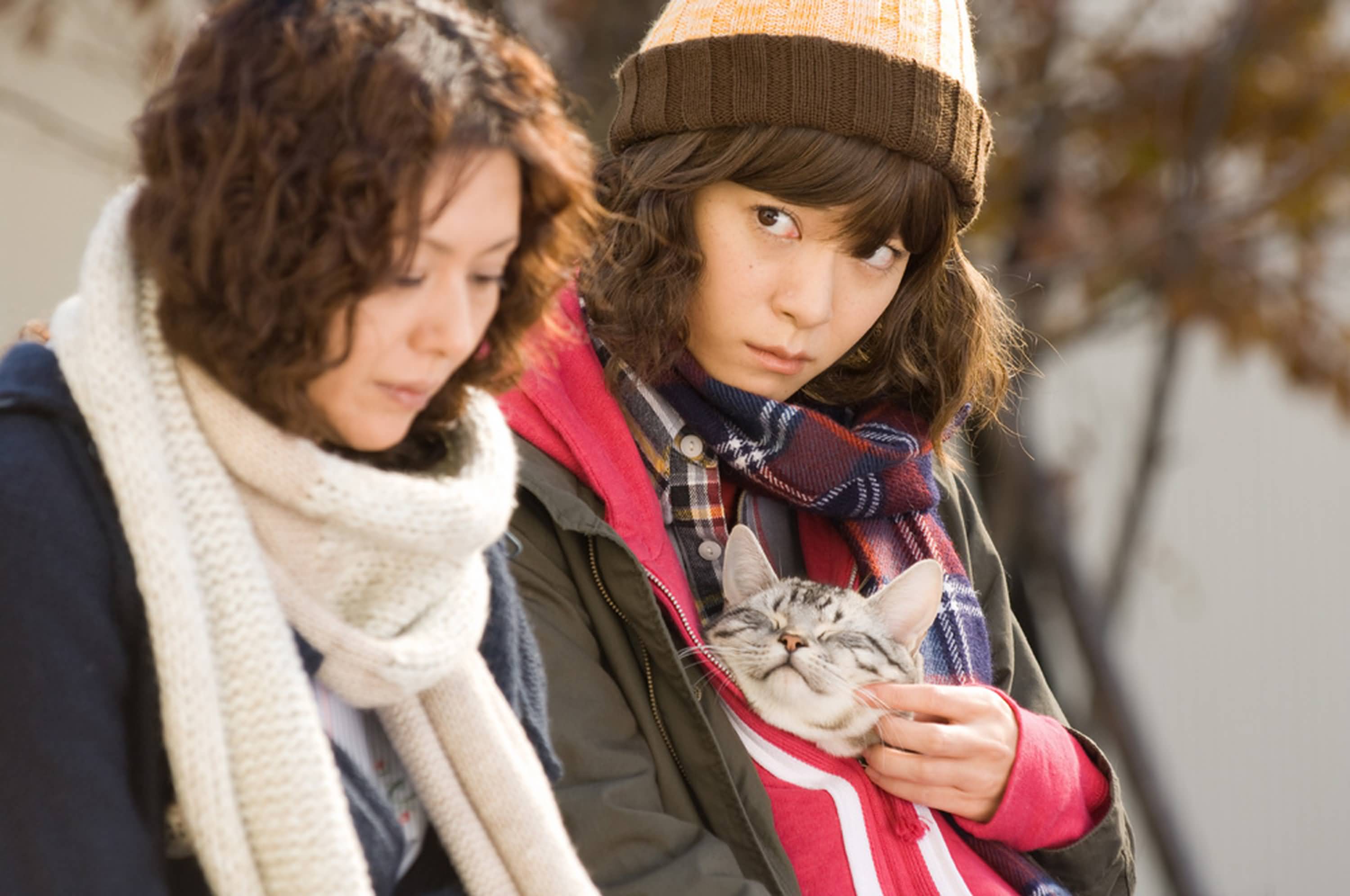 http://www.fjsenfa.cn/pics/default/download/8744df4f2d6915a4f0641bf46fb94dd7.jpg