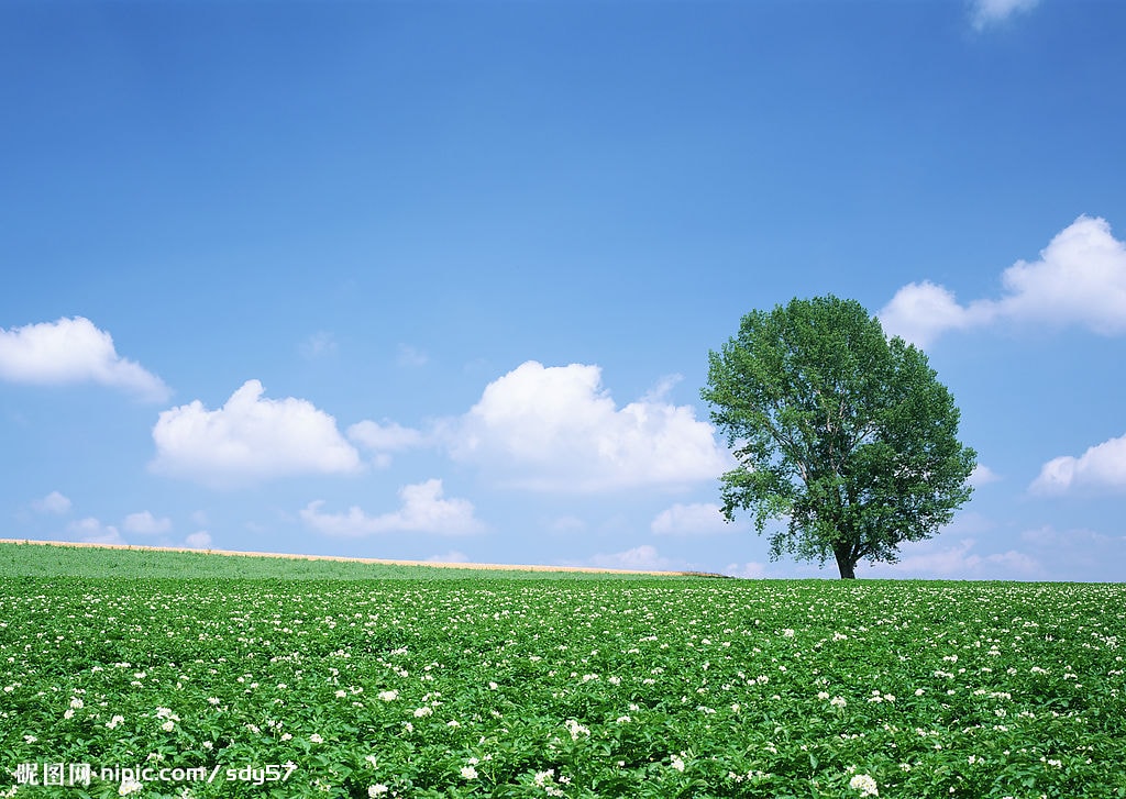 http://www.fjsenfa.cn/pics/default/download/87a1e2c758c3befef7e60cf25ca52aa1.jpg