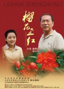 榴花正紅