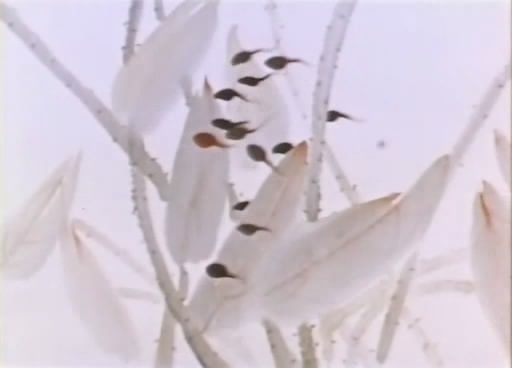 http://www.fjsenfa.cn/pics/default/download/8800fd14c17b94d1b8330b2f324476a6.jpg