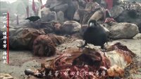 魔力誓言 抗日中國 經典視頻教材