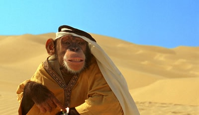 http://www.fjsenfa.cn/pics/default/download/8a1c5528b2c2ce3ac0c5d1026164e08b.jpg
