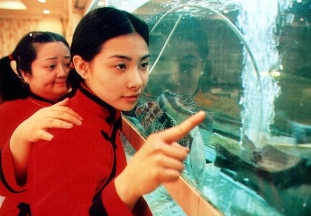 http://www.fjsenfa.cn/pics/default/download/8aa71eb47c76b3d513af43b3bdcfe45c.jpg