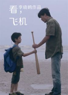 看，飛機(jī)