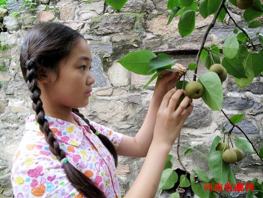http://www.fjsenfa.cn/pics/default/download/8b6b32278ca95f0861cb4d56ee4f8e98.jpg
