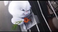 反派萌兔“十八般武藝”《愛寵大機密》“大反派”雪球角色預告