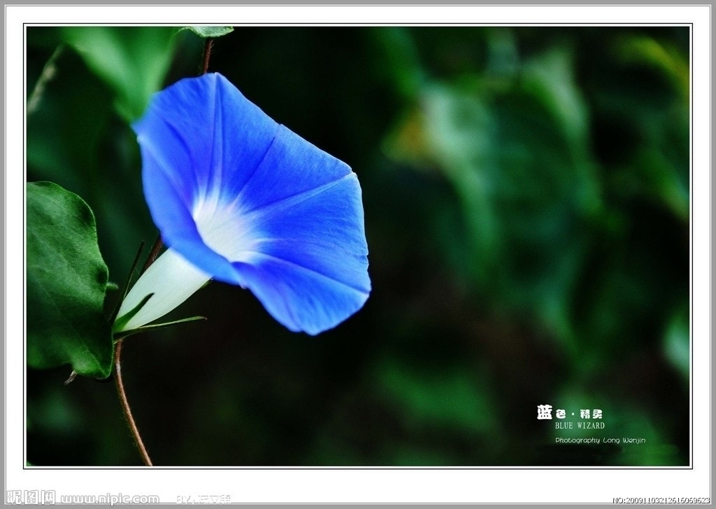 http://www.fjsenfa.cn/pics/default/download/8d4939a572b54e055beb3320d944c93d.jpg