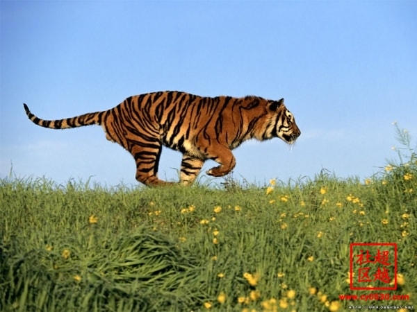 http://www.fjsenfa.cn/pics/default/download/8d7b4971a33c394a9b5955af2c904be4.jpg