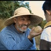 http://www.fjsenfa.cn/pics/default/download/8dfb5794f1f09a2fde3962e740530713.jpg