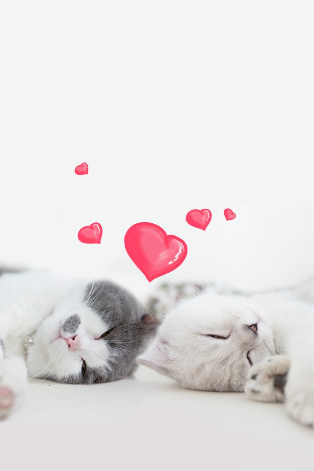 http://www.fjsenfa.cn/pics/default/download/8e019e7cca66e84e5602f033ba780288.jpg