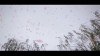 《深宮遺夢》預(yù)告片-虐愛版