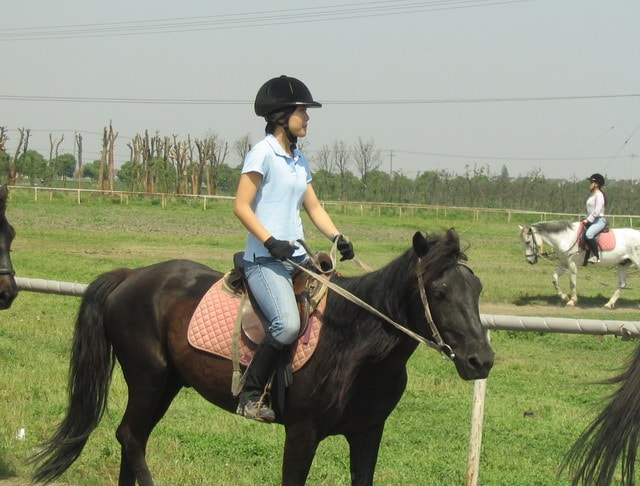 http://www.fjsenfa.cn/pics/default/download/8e534895f03ae90628741fc6eaaa6dd8.jpg