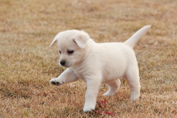 http://www.fjsenfa.cn/pics/default/download/8f4c1f797a7dd551e7fcbb571692f6aa.jpg