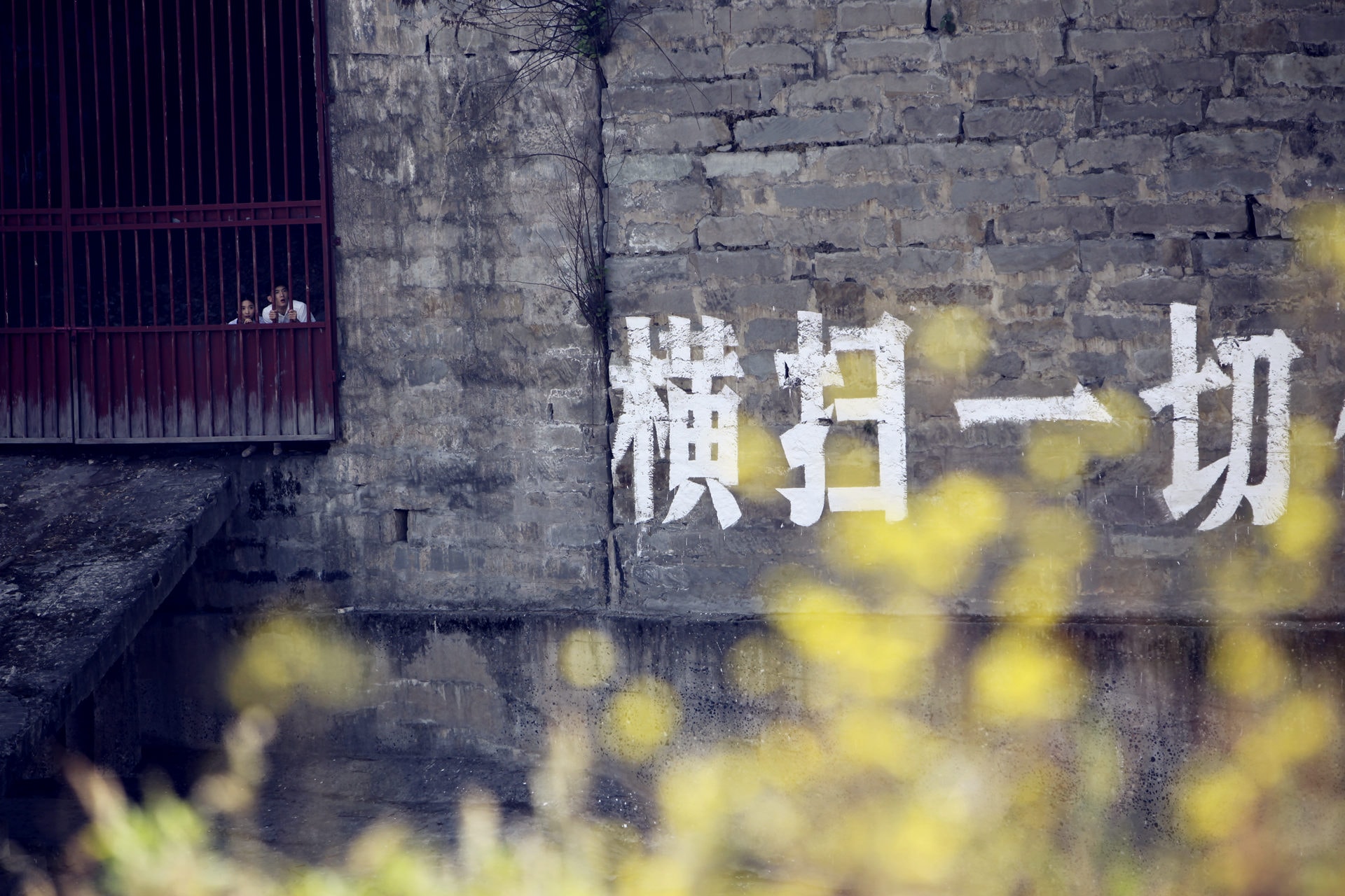 http://www.fjsenfa.cn/pics/default/download/90764f6633cb5481e99790ed880c3269.jpg
