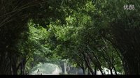 《離婚的時(shí)候》2016獻(xiàn)給背叛愛情拋棄老公的拜金女人們的歌！