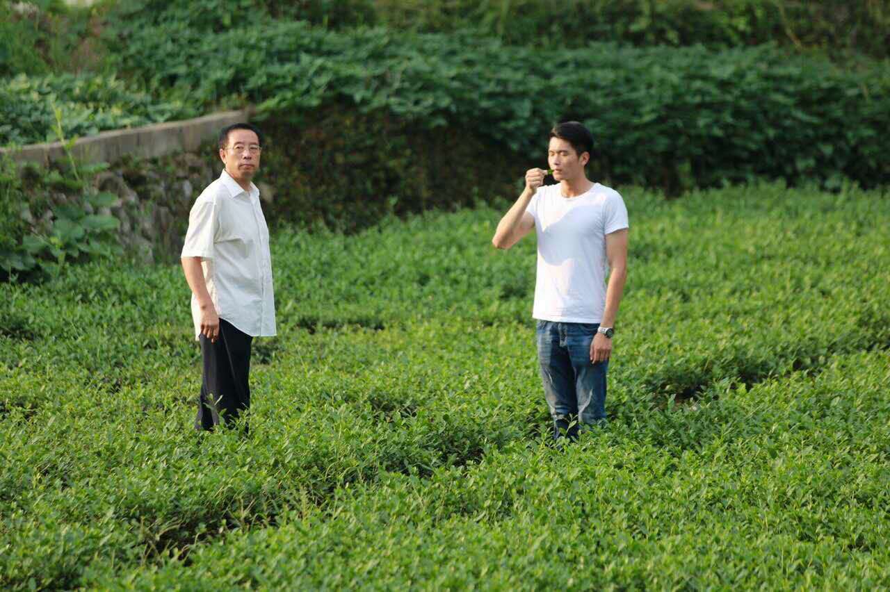http://www.fjsenfa.cn/pics/default/download/91ed4c6317772dd73f7aa168802a4d25.jpg