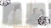 花開花落S17