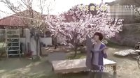 市政廳，幻想的舞伴