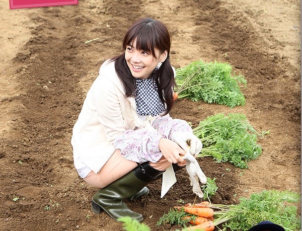 http://www.fjsenfa.cn/pics/default/download/93463be19ce31e80cc13c5a23bae4e68.jpg
