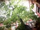 「好大一個(gè)家」. .﹎電視劇《咱家那些事》片頭曲