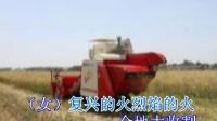 831、基督教贊美詩歌：復興的火烈焰的火：美麗的家等：河北視頻1
