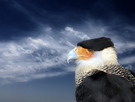 http://www.fjsenfa.cn/pics/default/download/93c030e0589e137054fc6a67a7a39c67.jpg