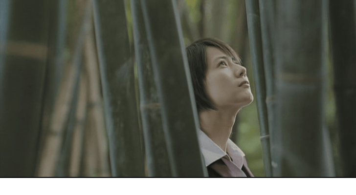 http://www.fjsenfa.cn/pics/default/download/9418371f668b59cd7a1dddedc67735c6.jpg