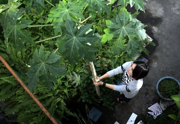 http://www.fjsenfa.cn/pics/default/download/94eb33b8aae4d2d85d511ef6c90cf3ec.jpg