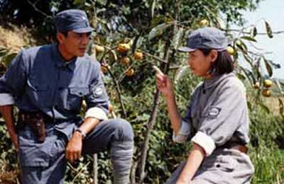 http://www.fjsenfa.cn/pics/default/download/957d60d3d46fef7fc74ce1bc7ccb212b.jpg