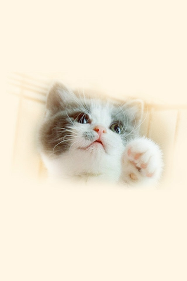 http://www.fjsenfa.cn/pics/default/download/95ea0b9744951805b9a52c198e47134d.jpg