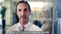 海德堡大學綜合醫院腫瘤學（2012年制）