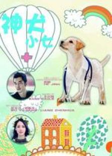 神犬小七未刪減版