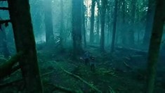 電視宣傳片
