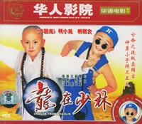 龍在少林 宣傳圖冊