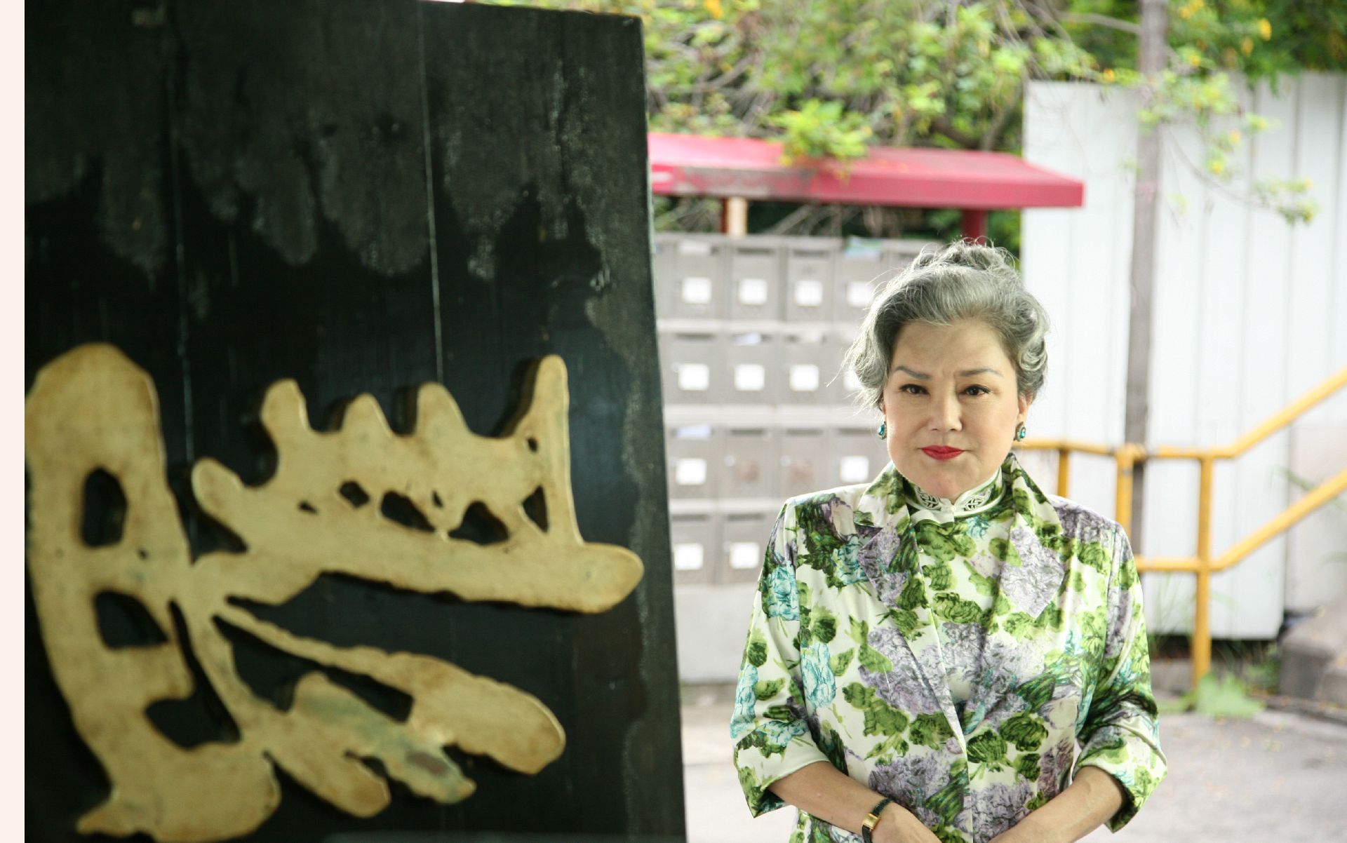 打擂臺（2010） 精彩圖冊
