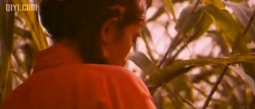 http://www.fjsenfa.cn/pics/default/download/982026a3c398629af1f0382d2918bd21.jpg