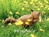 http://www.fjsenfa.cn/pics/default/download/98354a34bbe8194223344671417fcf38.jpg