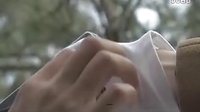 我的抗戰(電視劇)