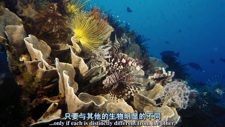 http://www.fjsenfa.cn/pics/default/download/992b0373551d3691d583e4fe0482bdde.jpg