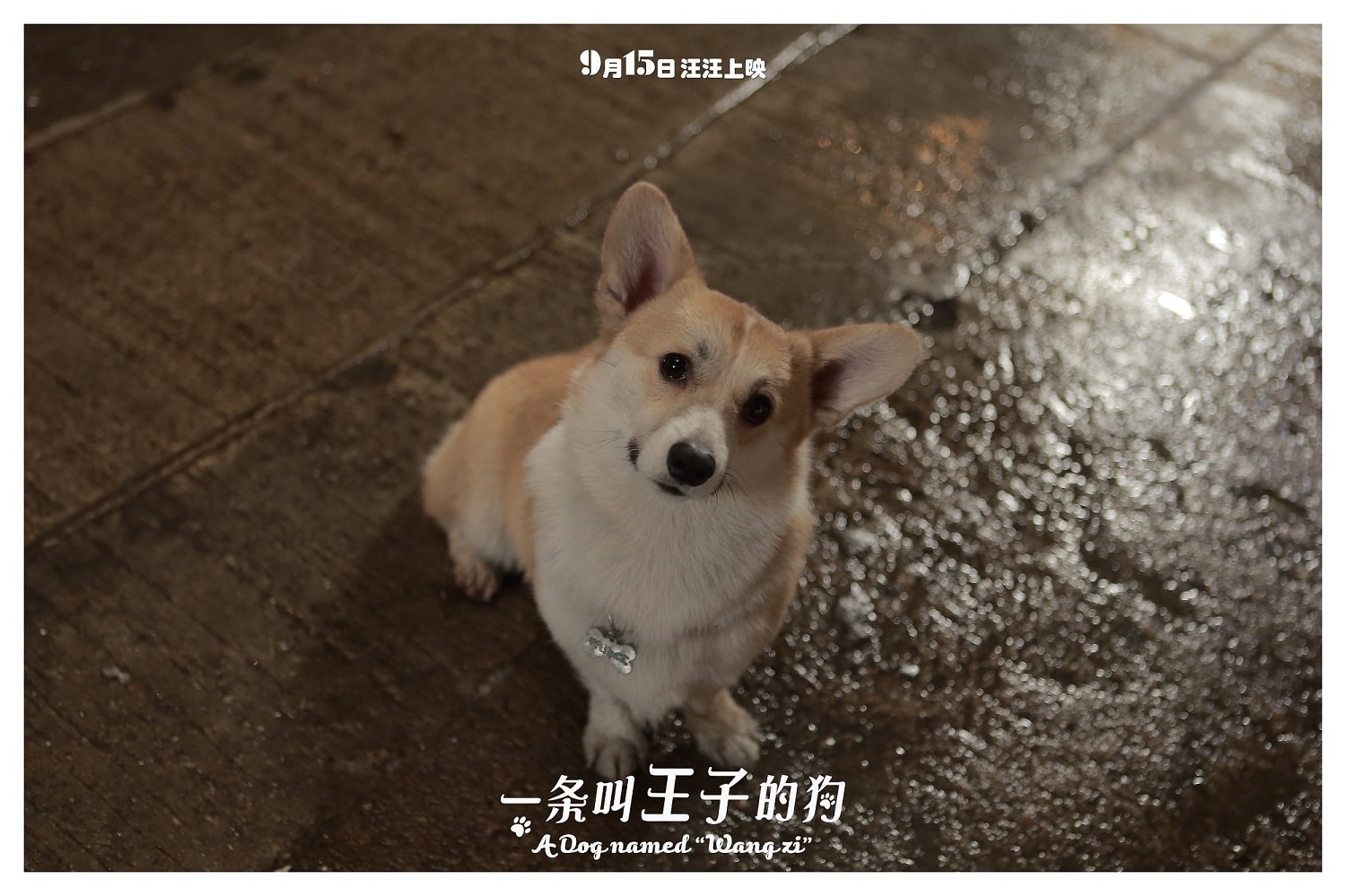 http://www.fjsenfa.cn/pics/default/download/99eb57a7046266d063a9bf916829e505.jpg