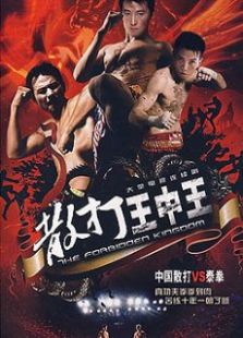 散打王中王