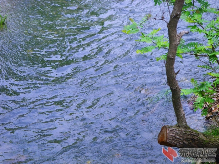 http://www.fjsenfa.cn/pics/default/download/9b176ae29c78ce4f366c5ed779a87f4d.jpg
