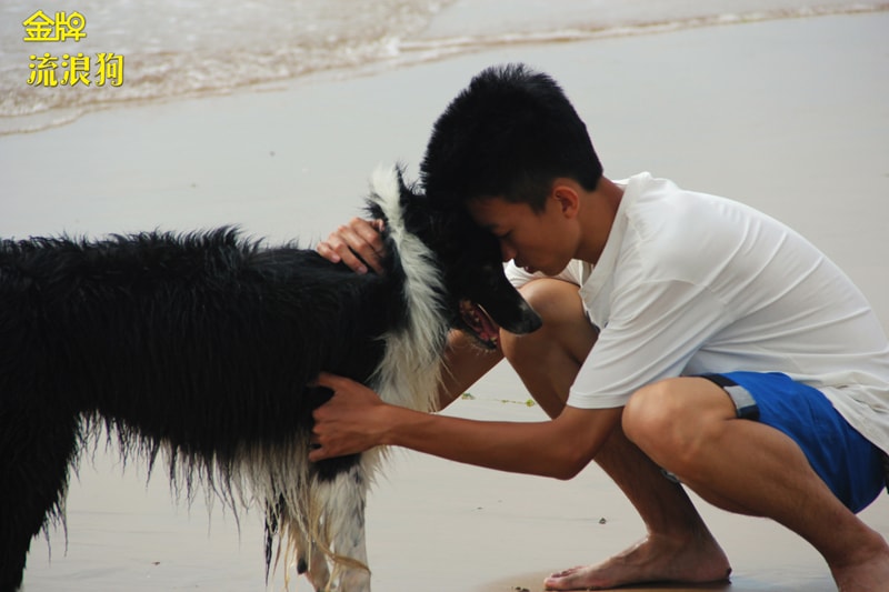 http://www.fjsenfa.cn/pics/default/download/9b3ef285239f57548dd78e14f0046c90.jpg