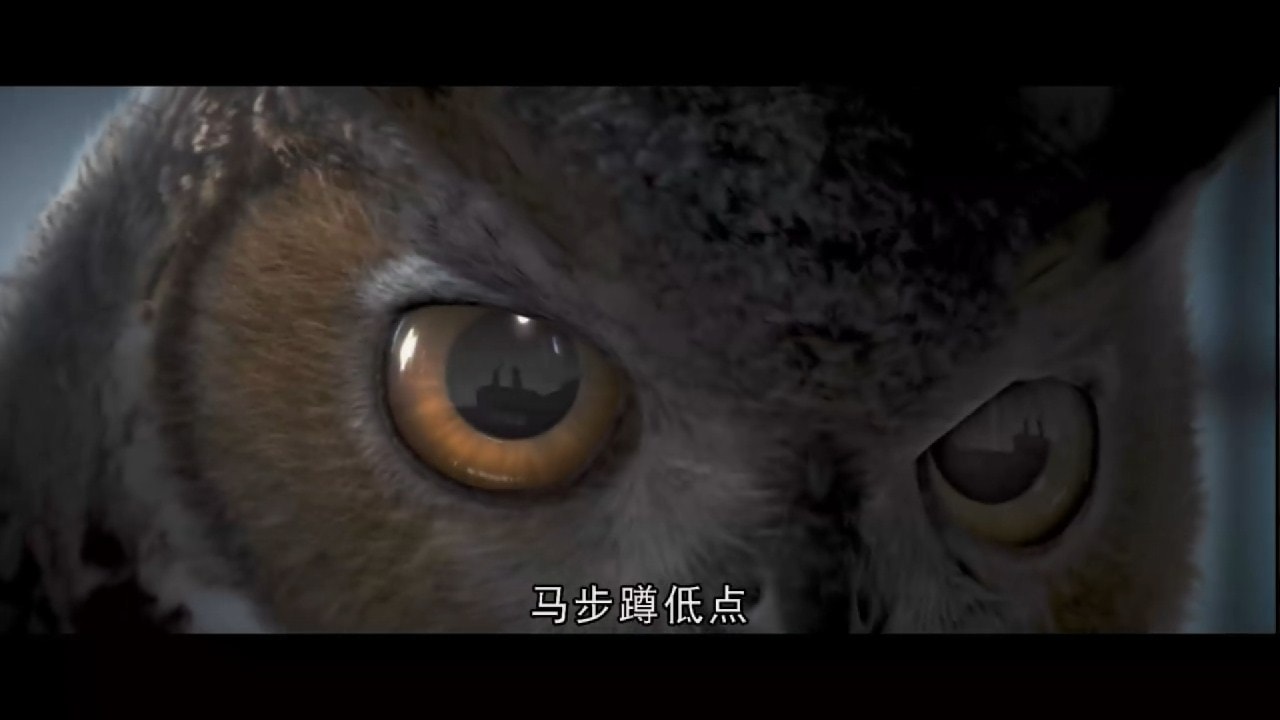 http://www.fjsenfa.cn/pics/default/download/9b6ccb9527f2e8b5389a97f21606e04b.jpg