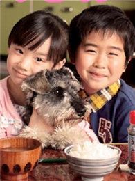高護木的規矩SP